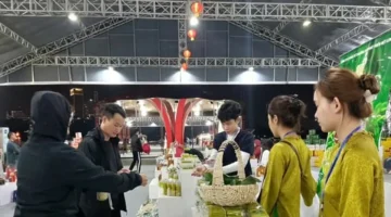 احتفال مميز افتتاح مهرجان الربيع في هانوي للحصان 2026